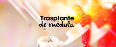 Trasplante de médula